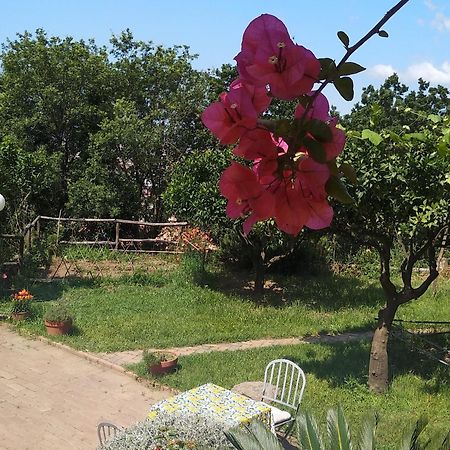 B&B Casa Gemma Ламеция Терме Екстериор снимка