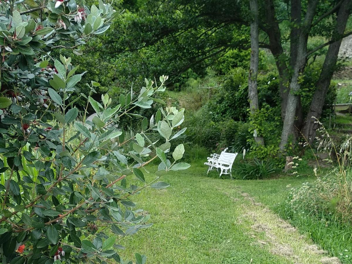 B&B Casa Gemma Ламеция Терме Екстериор снимка
