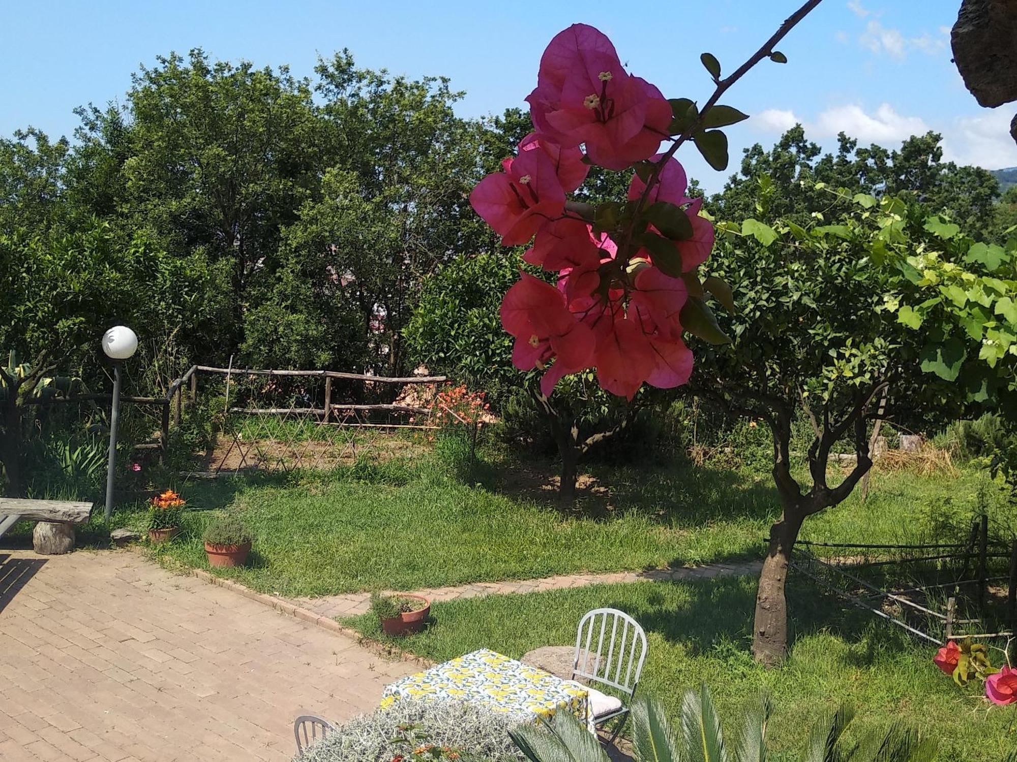 B&B Casa Gemma Ламеция Терме Екстериор снимка
